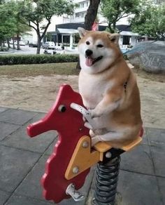 a dog sitting on top of a red and yellow toy horse with its tongue hanging out