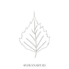 a drawing of a leaf on a white background