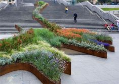 a bunch of plants that are sitting on some steps in front of the stairs with people walking up and down them