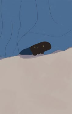 a black cat peeking out from under a blue blanket