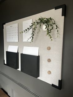 a wall mounted with three different sized binders and a plant hanging on the wall