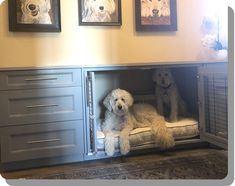 two dogs are sitting in the dog bed