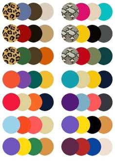 the color scheme for different animal print patterns