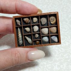 a hand holding a miniature box with shells inside