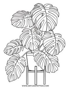 a black and white drawing of a house plant