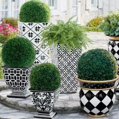 several black and white vases with plants in them sitting on a stone patio area