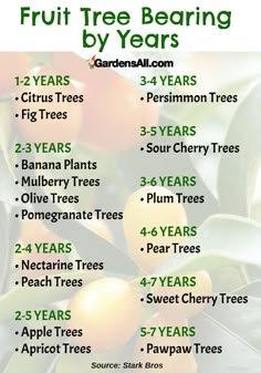 the fruit tree bearing by years is an excellent way to learn how to use it