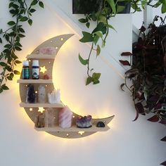 a wooden shelf with candles and other items on it next to a potted plant