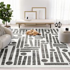 a dog laying on top of a rug in a living room