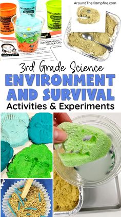 Third grade science experiments for learning about fossils. Third Grade Science Projects, 3rd Grade Science Experiments, 3rd Grade Science Projects, Survival Activities, Grade 3 Science