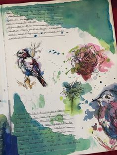 an open book with watercolors and ink on it that has birds sitting on top of flowers