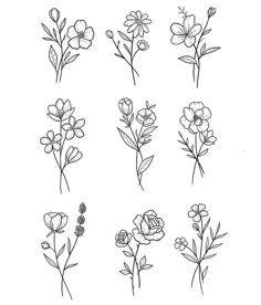 the different flowers are drawn in black and white