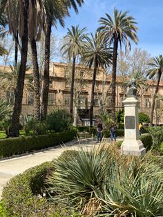 palm tree beach aesthetic palermo hidden gem Sicily Palermo