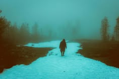 a person walking down a snow covered path in the middle of a foggy forest