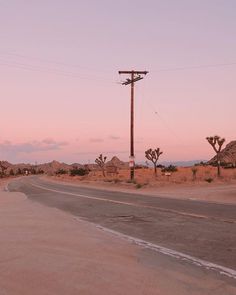 an empty road in the desert at dusk with palm trees and telephone poles on either side