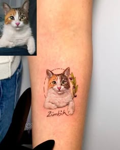 a cat is shown on the left arm and an image of a cat has been added to it