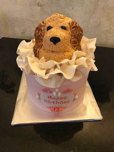 a birthday cake shaped like a dog in a cupcake box with the words happy birthday written on it