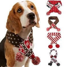 a dog wearing a scarf and bandana with different patterns on it's neck