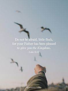 a man looking at birds flying in the sky with a bible verse written on it