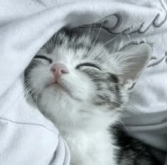 a small kitten sleeping on top of a white blanket