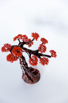 a small bonsai tree with red flowers on it's branches in a vase