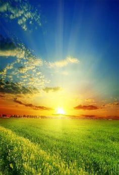 the sun is setting over an open field with green grass and blue sky in the background