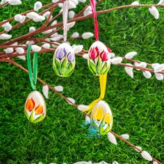 easter eggs hanging from a tree branch with flowers painted on them and grass in the background