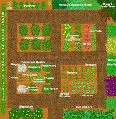 a vegetable garden with many different plants