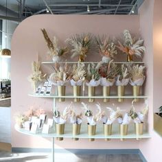 there are many flowers in the vases on the shelves and behind them is a pink wall