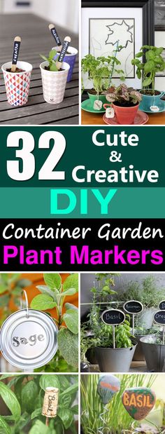 several different pictures with plants in them and the words 32 creative diy container garden plant markers