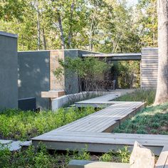 an outdoor garden with trees, rocks and plants