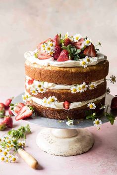 a cake with strawberries and daisies on top