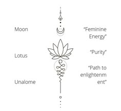 the four main elements in an energy flow chart, including lotuses and chakras