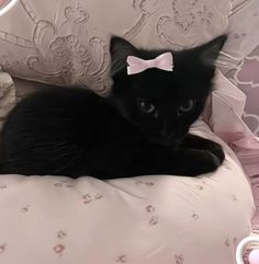 a black cat with a bow sitting on a chair