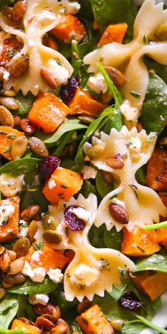 Fall Salad with butternut squash, pumpkin seeds, cranberries, spinach, goat cheese, and pasta - close-up photo. Autumn Salad With Maple Dressing, Fall Salad With Maple Dressing, Fall Salad Maple Dressing, Fall Salad With Maple Lime Dressing, Fall Squash Salad, Butternut Pasta Salad, Fall Salad With Butternut Squash, Fall Salad With Goat Cheese, Squash Salad Recipes Fall