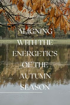 Seasonal Reset, Equinox Autumn, Living Seasonally, Autumn Meaning, Tcm Traditional Chinese Medicine, Elements Earth, Winter Wellness, Hygge Life, Body And Health