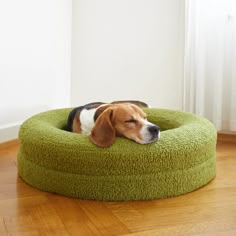 a dog laying on top of a green pet bed