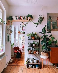 the room is filled with potted plants and bookshelves, along with pictures on the wall