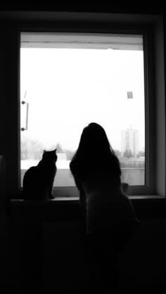 two cats are sitting in front of a window