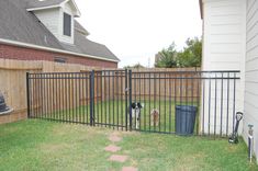 a dog is standing in the yard behind a fence with a trash can on it