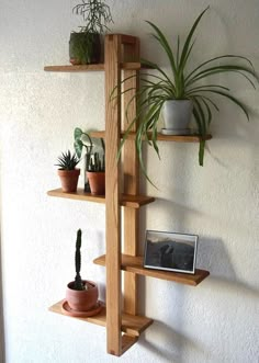 three wooden shelves with plants on them against a white wall, one has a potted plant and the other is a framed photograph