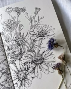 some flowers are sitting on top of a piece of paper