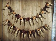 an arrangement of animal bones and pine cones hanging on a wooden wall