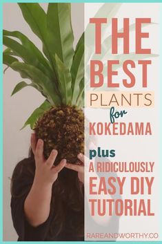 the best plants for kokedama plus ridiculously easy diy tutorial