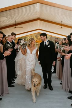 the bride and groom are walking their dog down the aisle with all of his guests