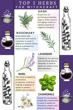 Health Spells Magic, Herb Meanings Witchcraft, Witchy Herbs And Meanings, Protection Herbs Witchcraft, Love Herbs Witchcraft, Witch Stuff Witchcraft, Healing Herbs Witchcraft, Witchcraft Herbs Meanings, Herbology Witchcraft