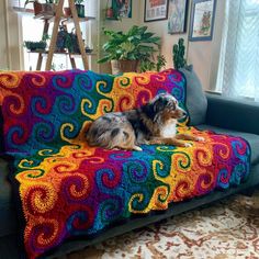 a dog laying on top of a couch covered in a multicolored crochet blanket