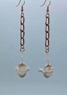 Thoracic Vertebrae, Edgy Elegance, Bone Earrings, Textile Sculpture, Bone Art, Edgy Aesthetic, Animal Bones, The Bone, The Natural World