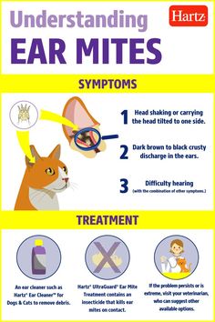 an info sheet describing ear mitts and how to use them in the home or office