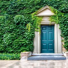 a green door is surrounded by ivy